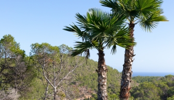 Resa Estates for sale Ibiza Vlla Aixa te koop sale lift sea views exterior garden.jpg